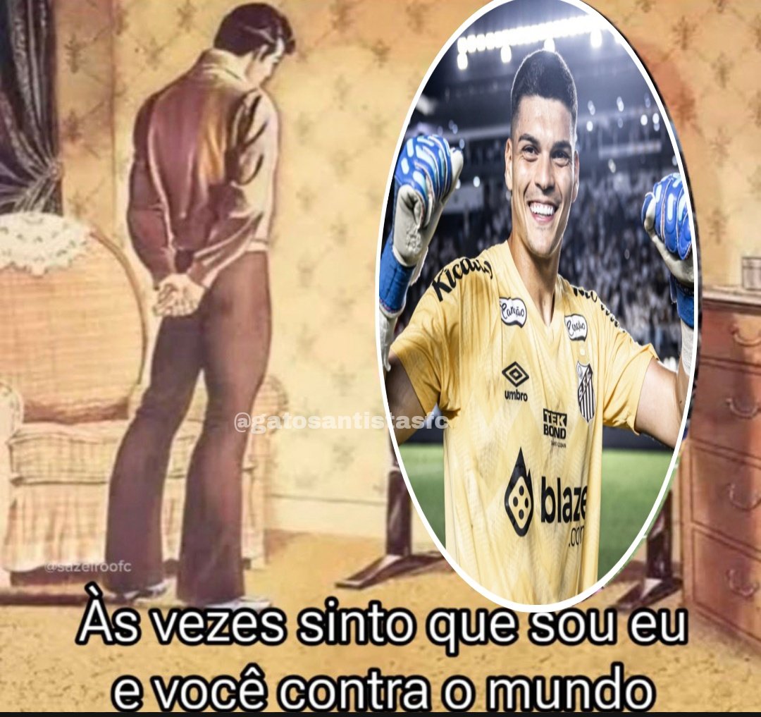 gato santista tweet media