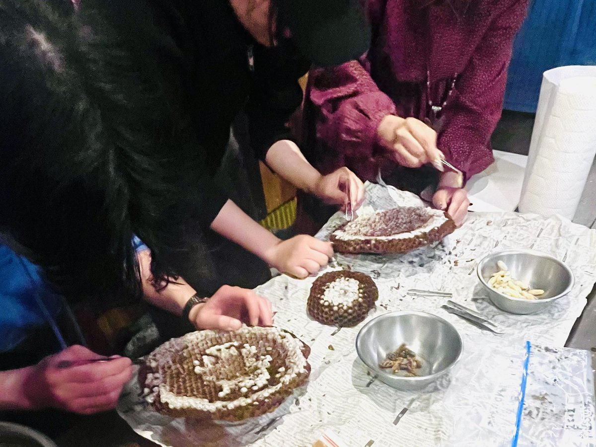 米とサーカス tweet media