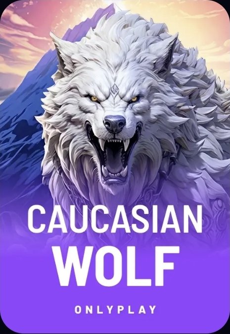 Matthew Huffaker tweet media