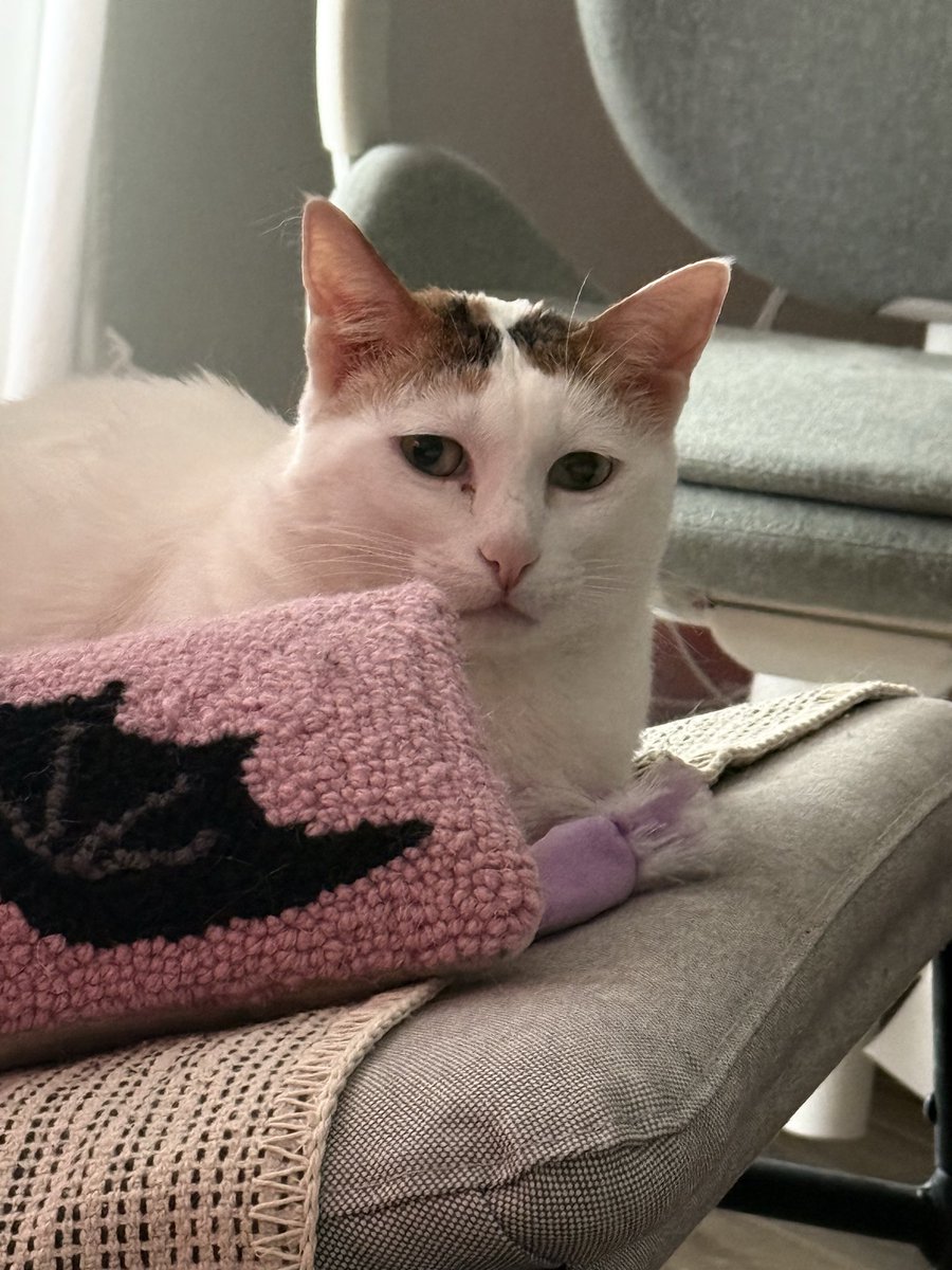 ретроградная настя tweet media