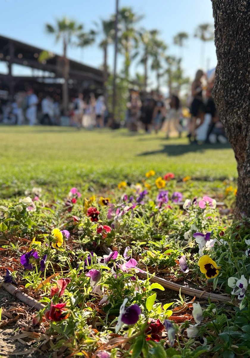 그탬ㄴ|™️ tweet media