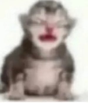 laviii ୨ৎ VAI VER O BTS tweet media