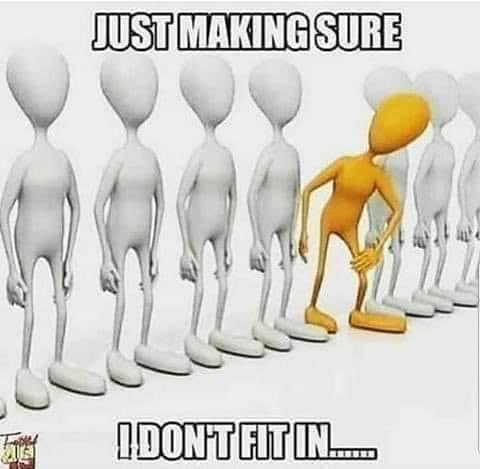 SpongeCake tweet media