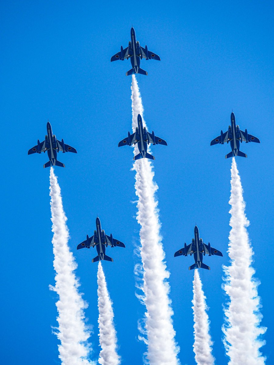 愛 ち ゅ ん 🍑 🦙 tweet media