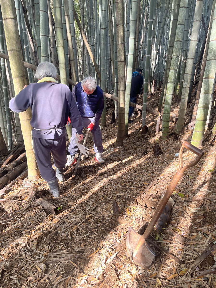 トライ君 tweet media
