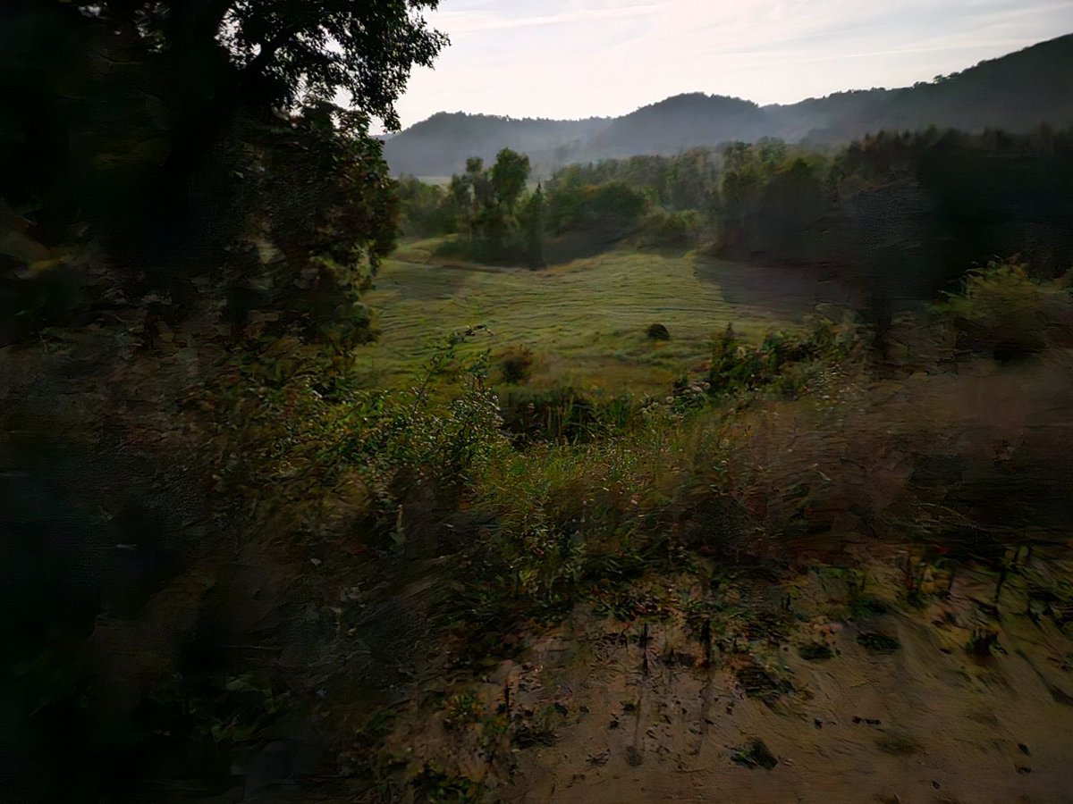 Noah Smits 🕊️✝️ tweet media