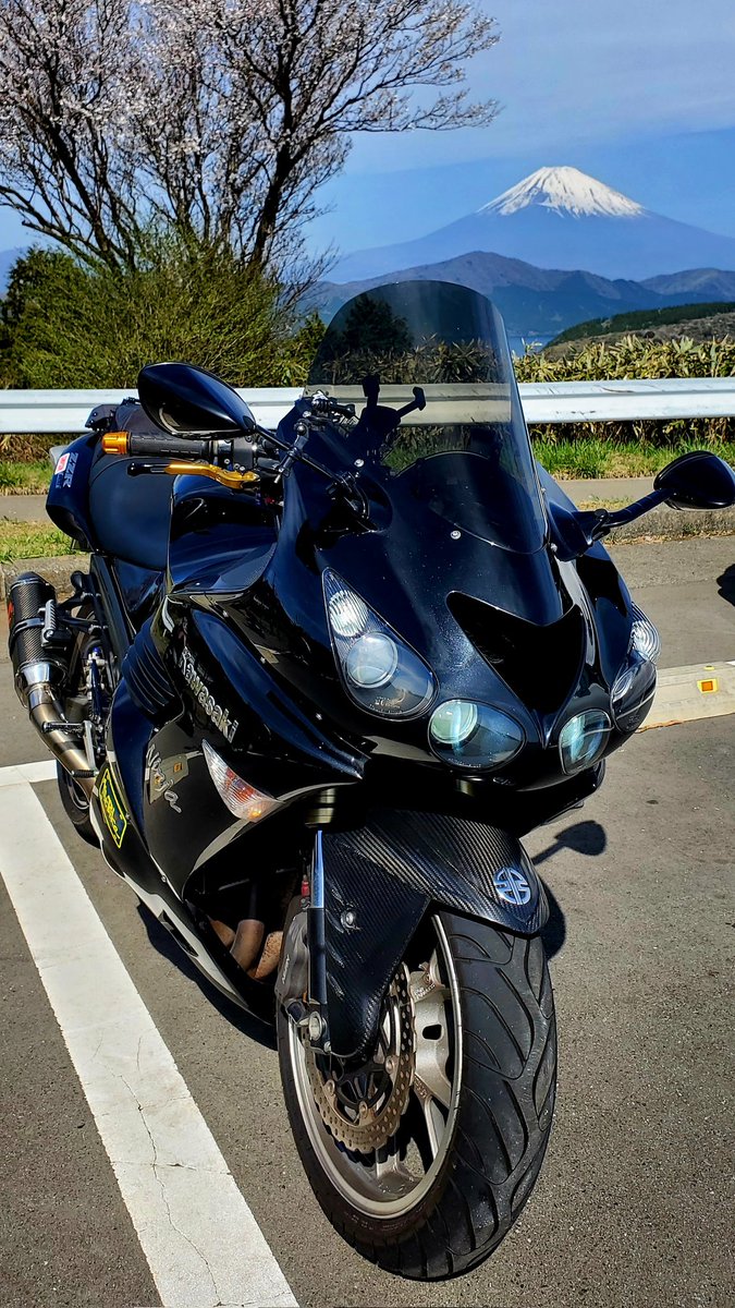 どんらく® tweet media