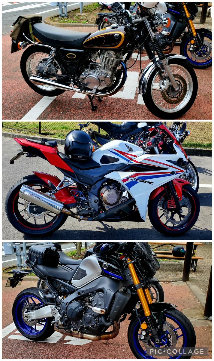 どんらく® tweet media