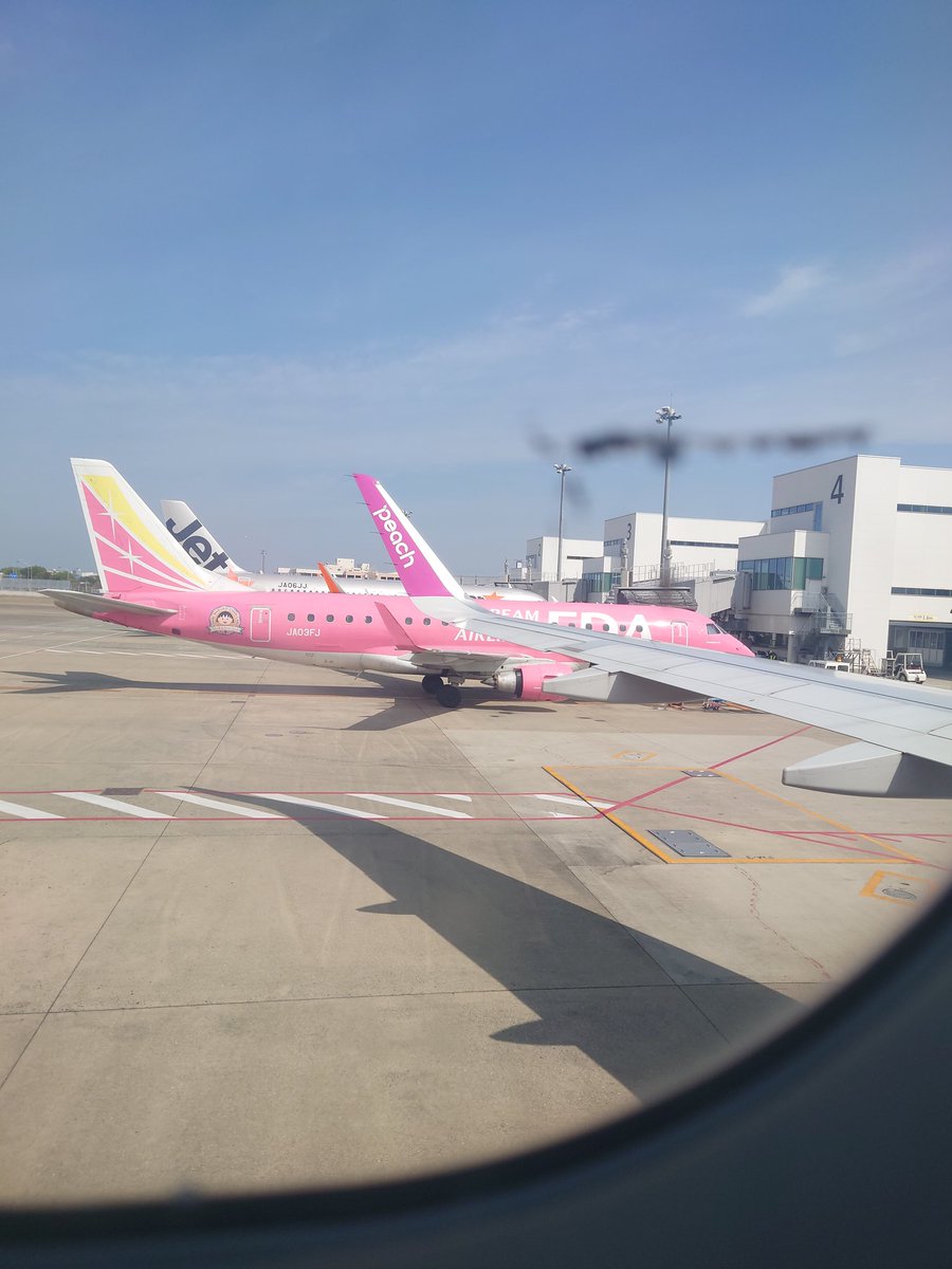 グミ（負け組の人） tweet media