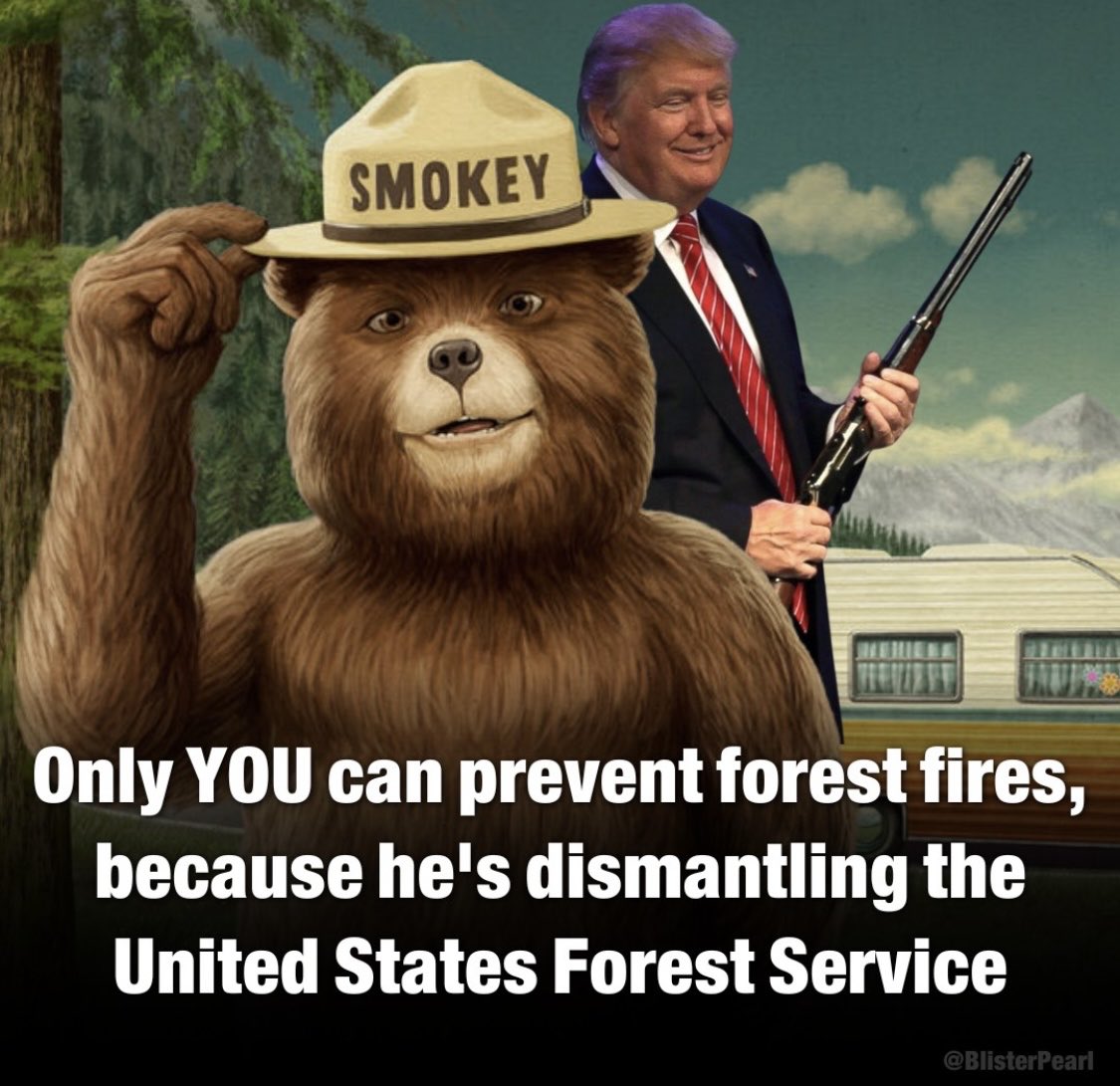 BellaFestiva's tweet image. #USForestService
#Article2Section4