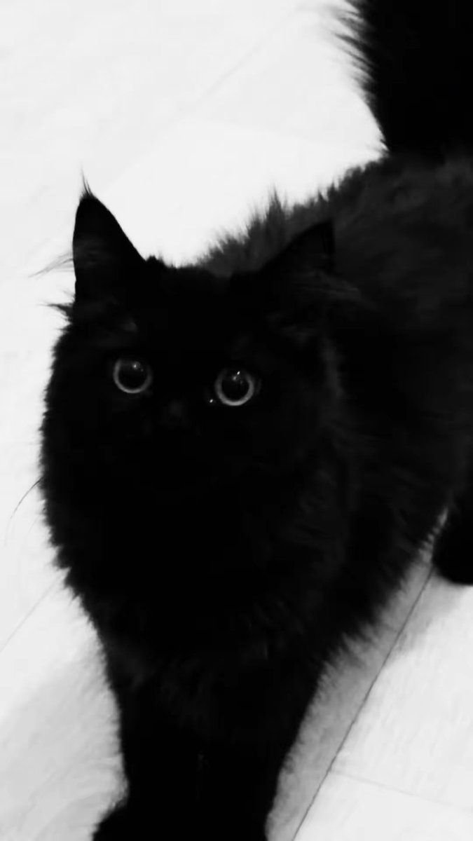 ангел tweet media