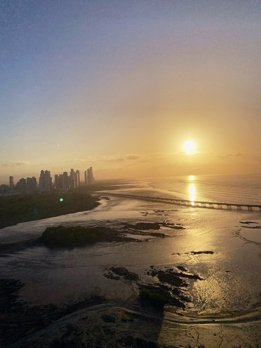 Felipe Gonzalez tweet media