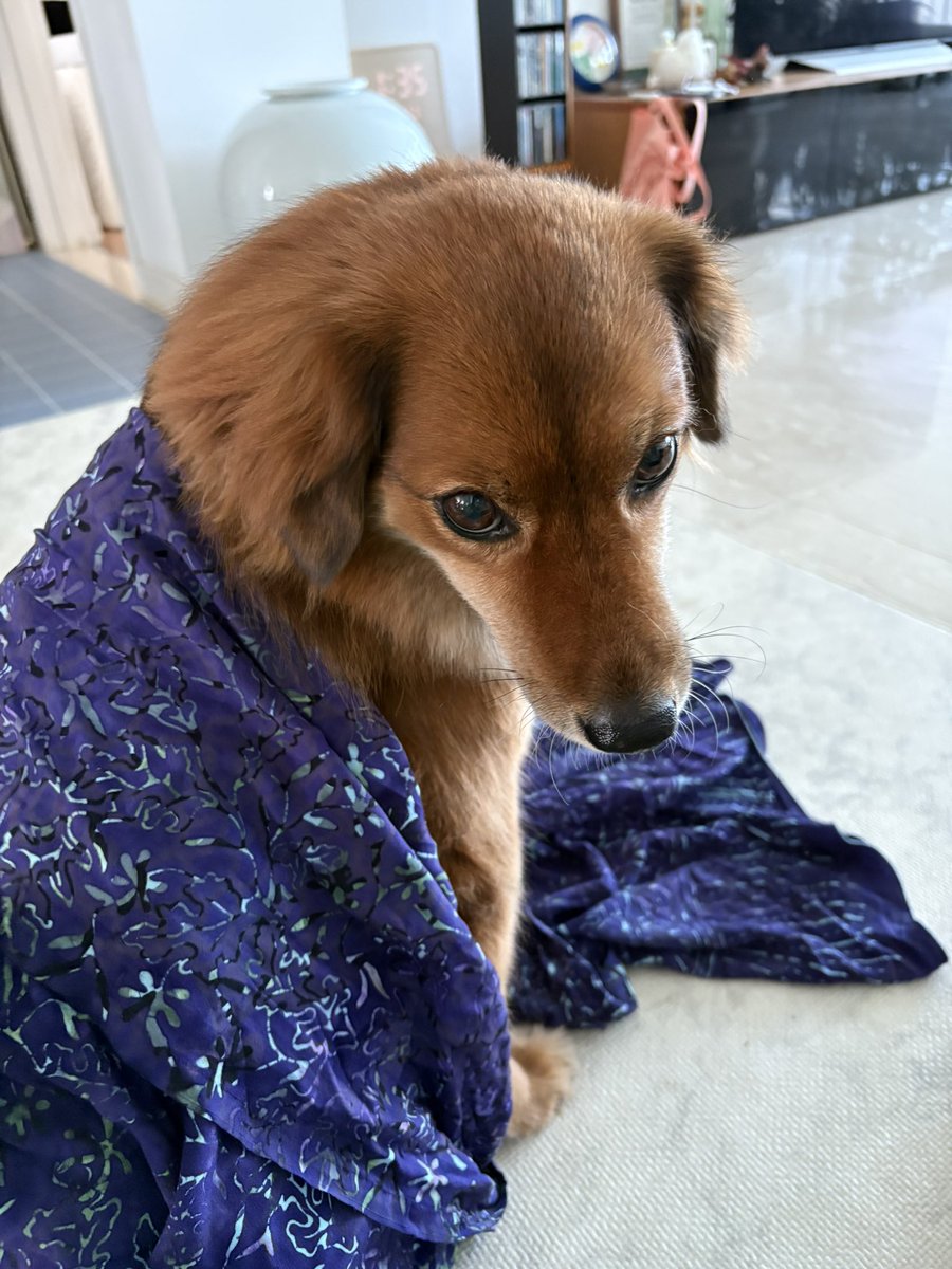 마진오 tweet media