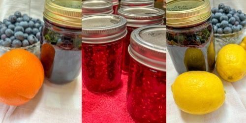 Got a freezer full of berries and wondering what to do with them? It’s time to turn that frozen fruit into delicious #homemade jams! Learn how to make #jam from frozen #berries! fluxingwell.com/make-jam-from-… #DIYgift #homemadegift
