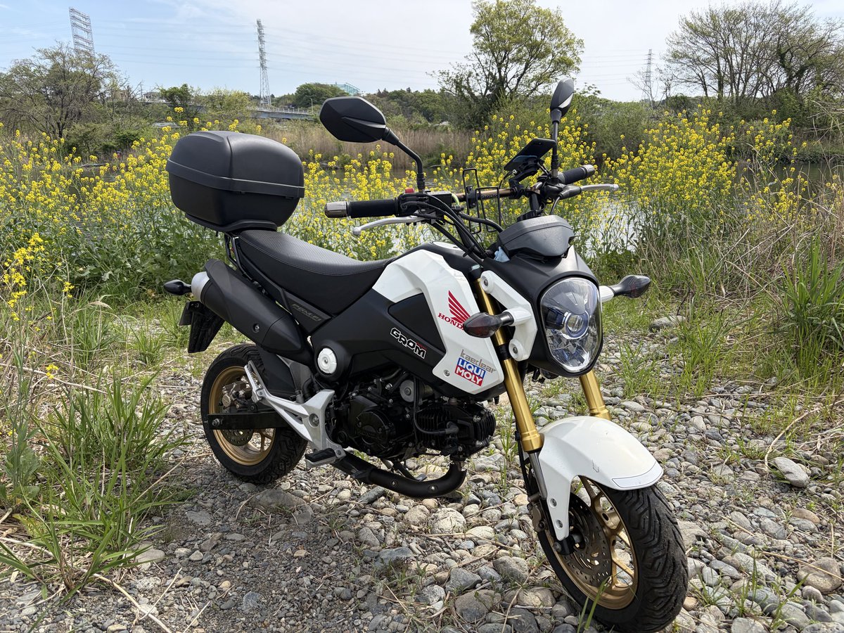 AGsr250's tweet photo. 今日はグロムでツーリング🏍️ https://t.co/dbPk6uF5yA