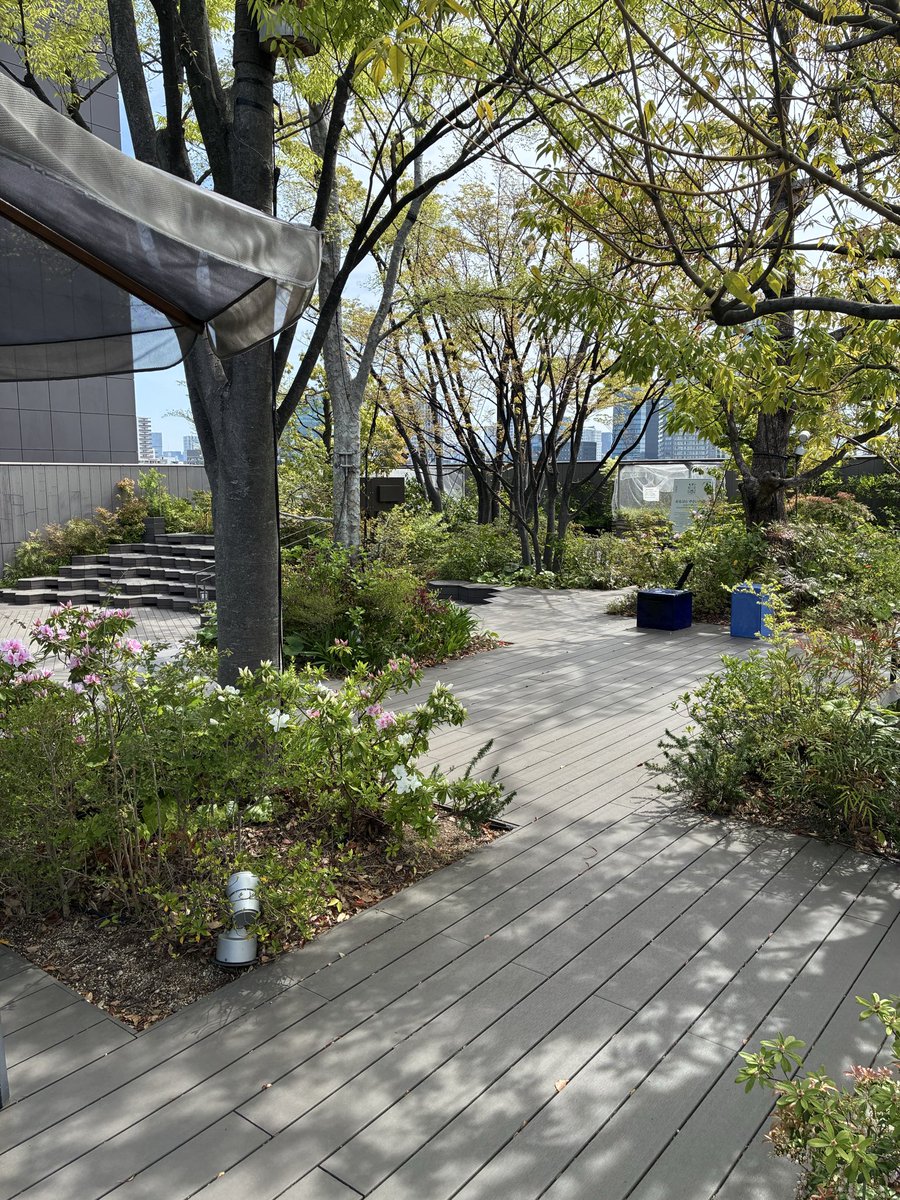 はちみつ揚げパン（黄昏） tweet media