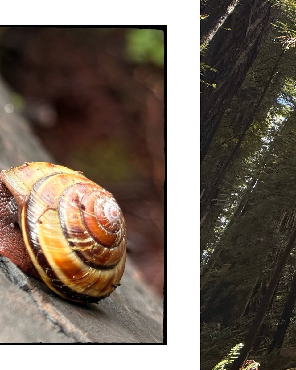 Melissa O’Neil Updates tweet media