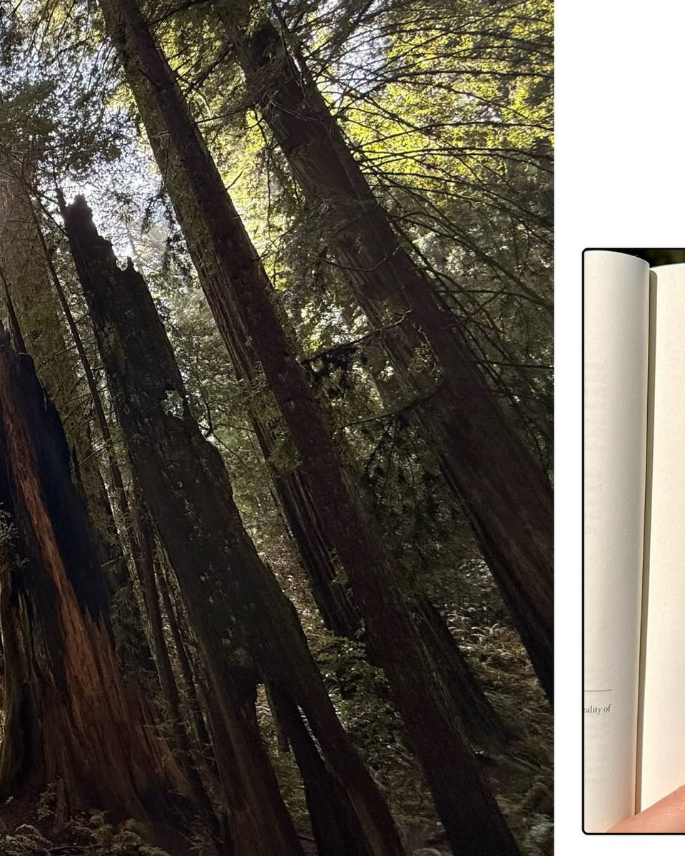 Melissa O’Neil Updates tweet media