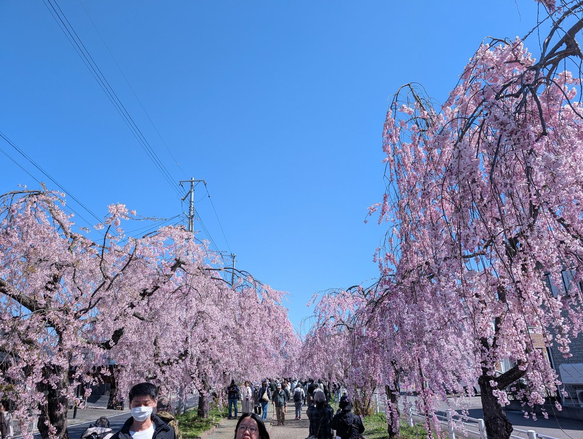 べにしろ＠福島 tweet media