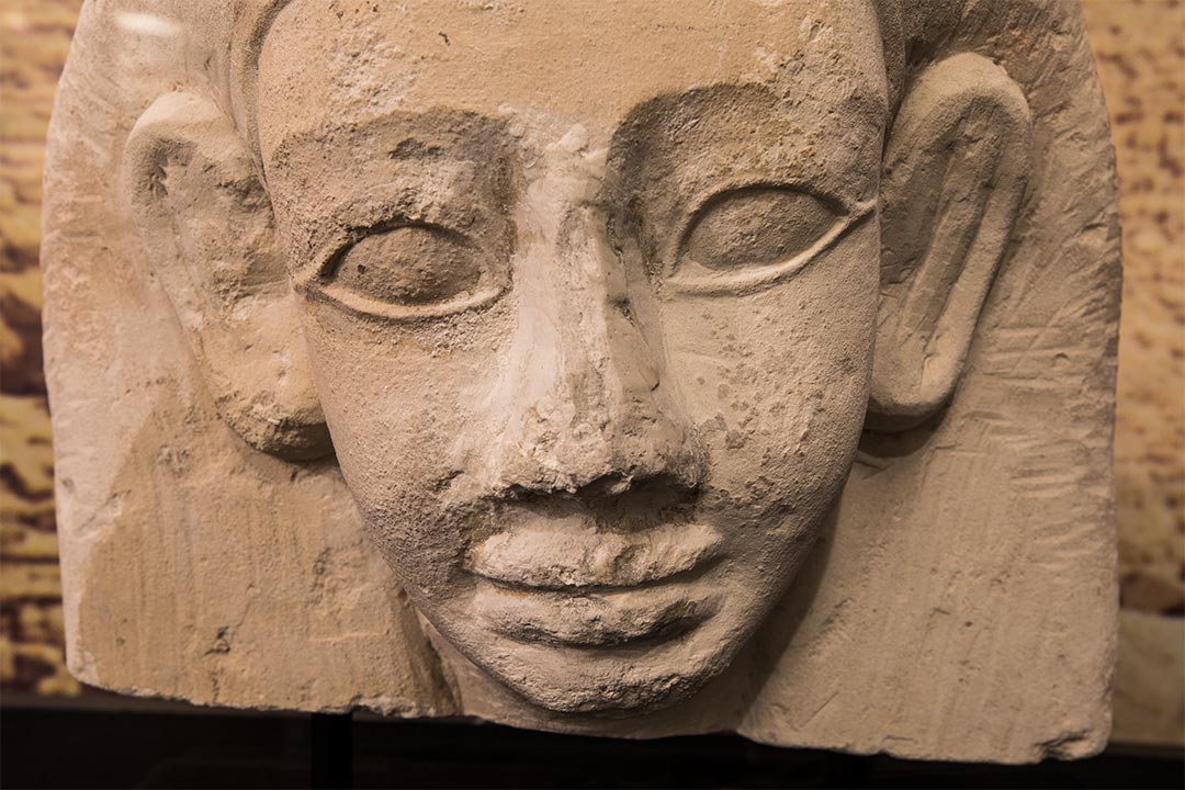 Meta☯️⚛️ tweet media