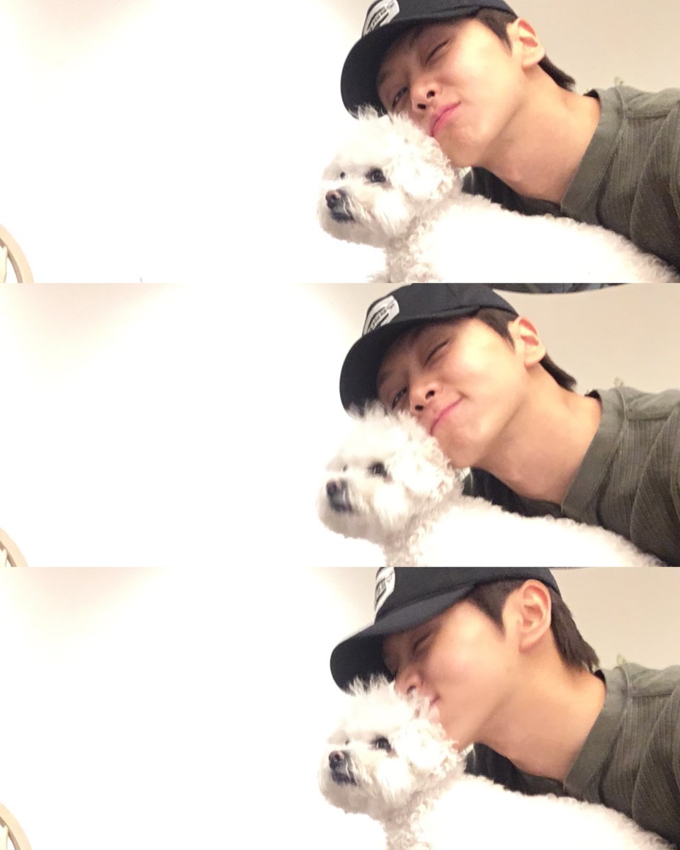 BAE173_member's tweet image. [#유준]

뭉치야

#BAE173 #비에이이173
#YOOJUN