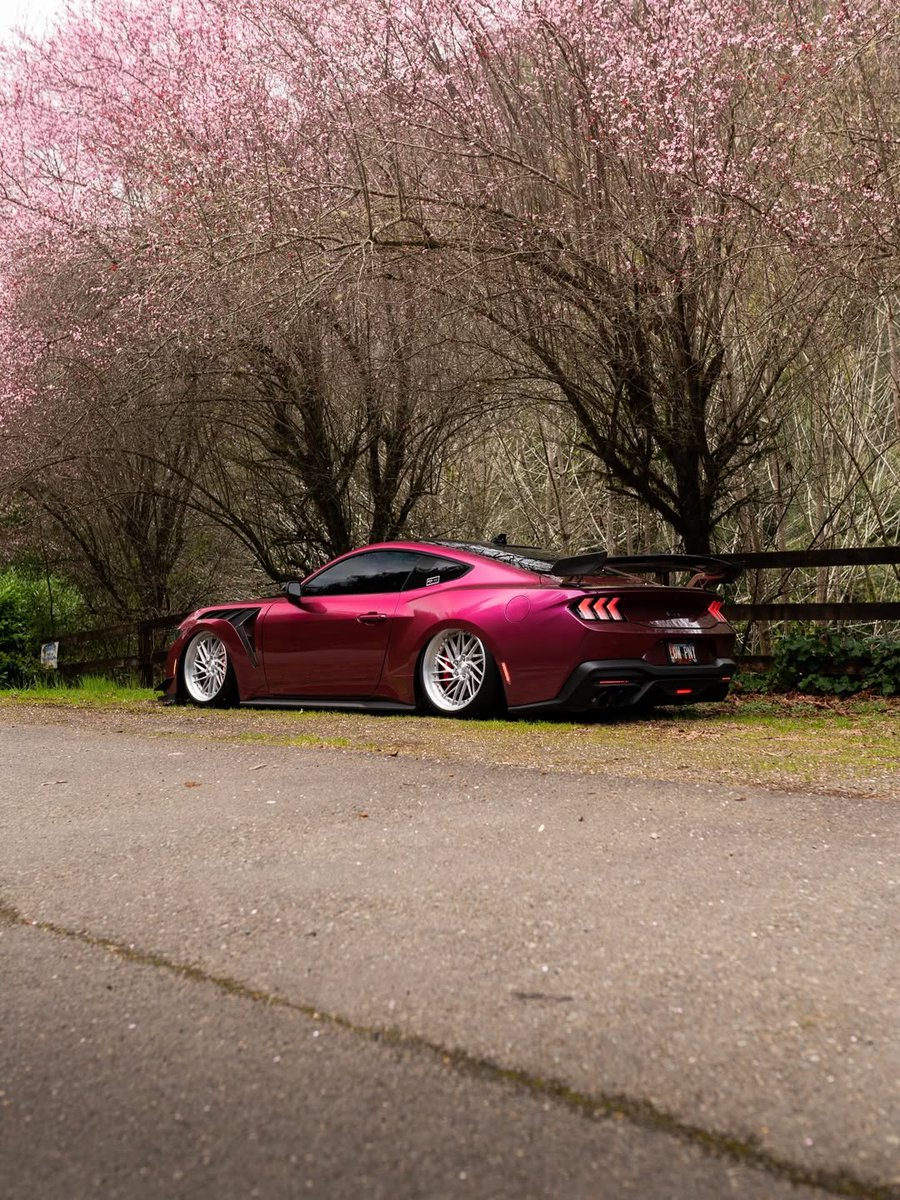 COMPETITION tweet media