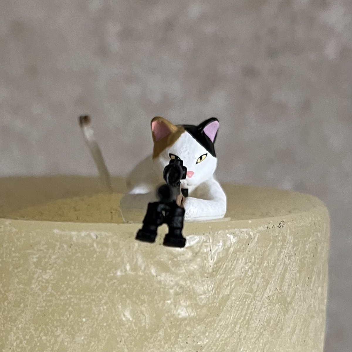 エイジ♪アイルカイル tweet media