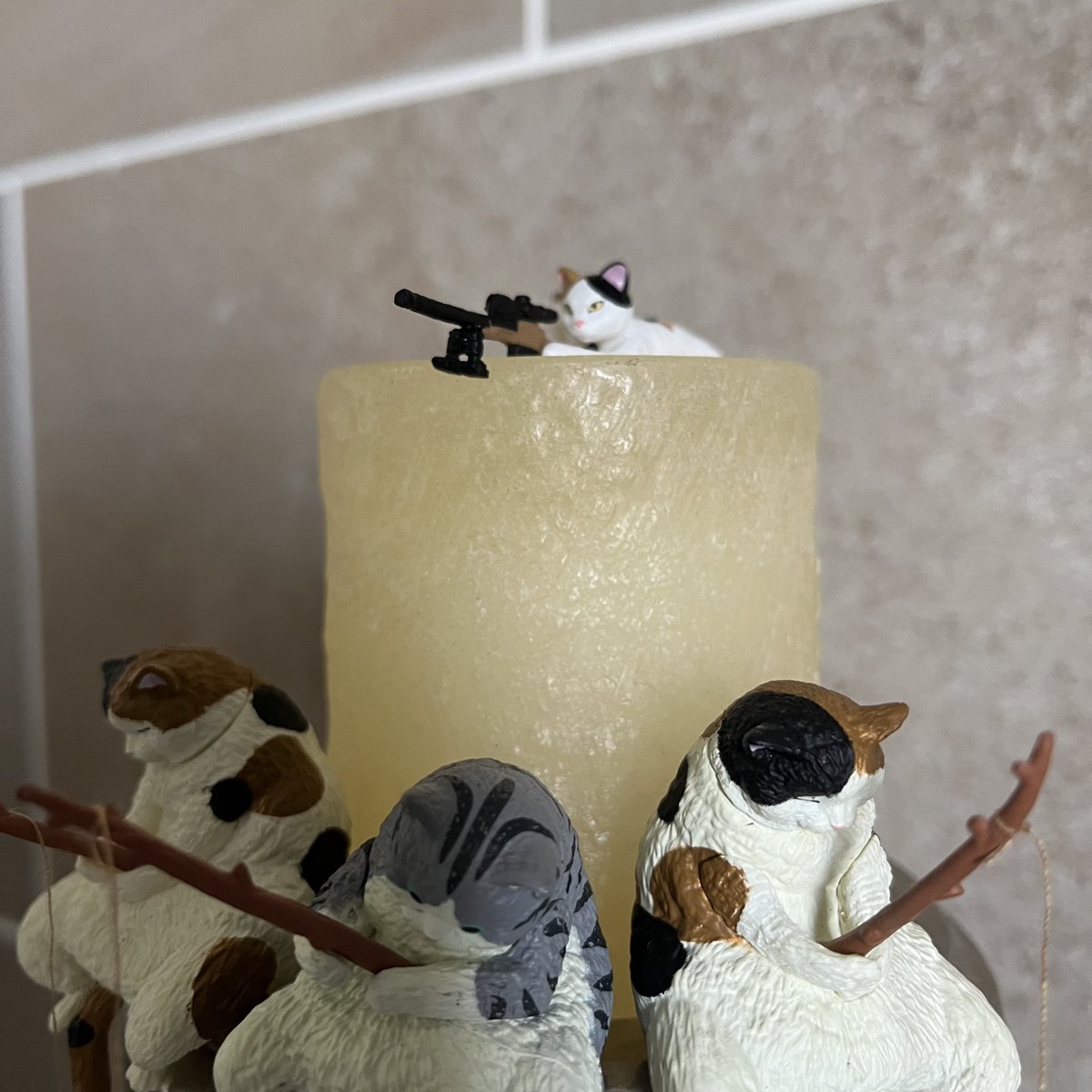 エイジ♪アイルカイル tweet media