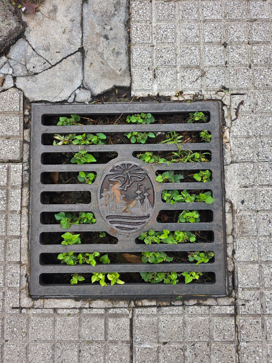 Rejillas de la Ciudad 🏛

Que milagrosamente sobreviven