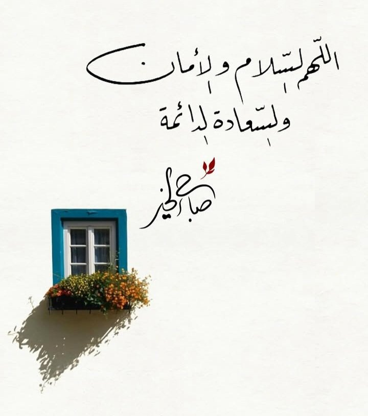 نجيب tweet media
