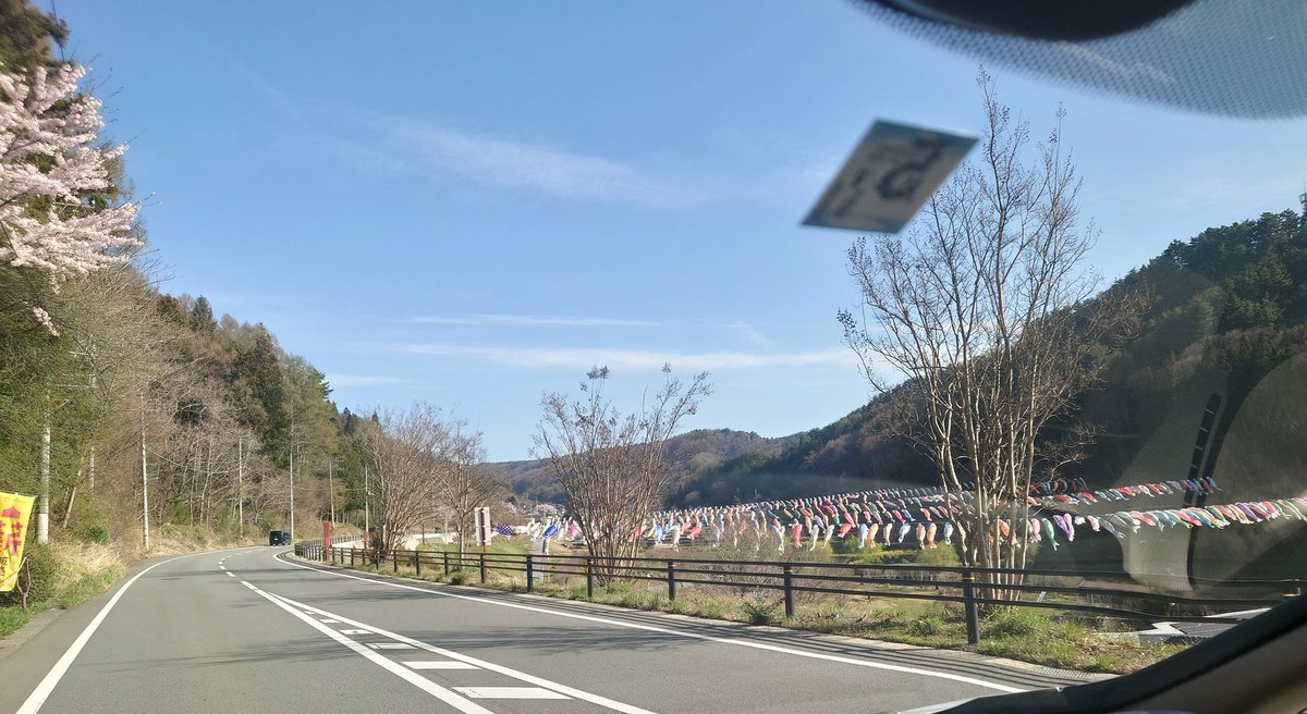 ほしいも tweet media