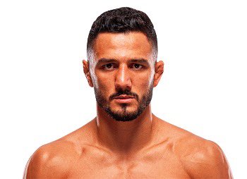 Blind Bear 🐻🕶️ tweet media