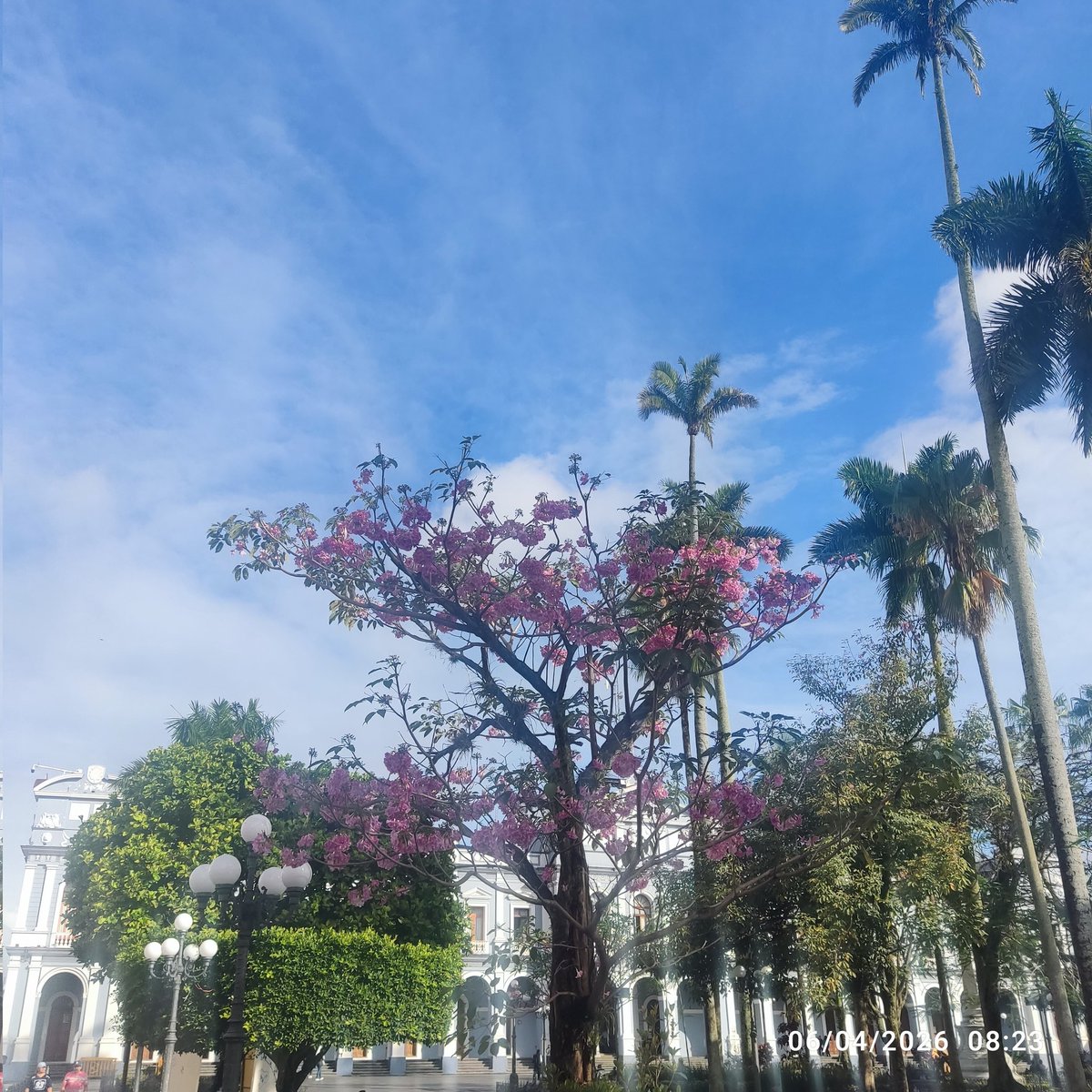 Christian tweet media