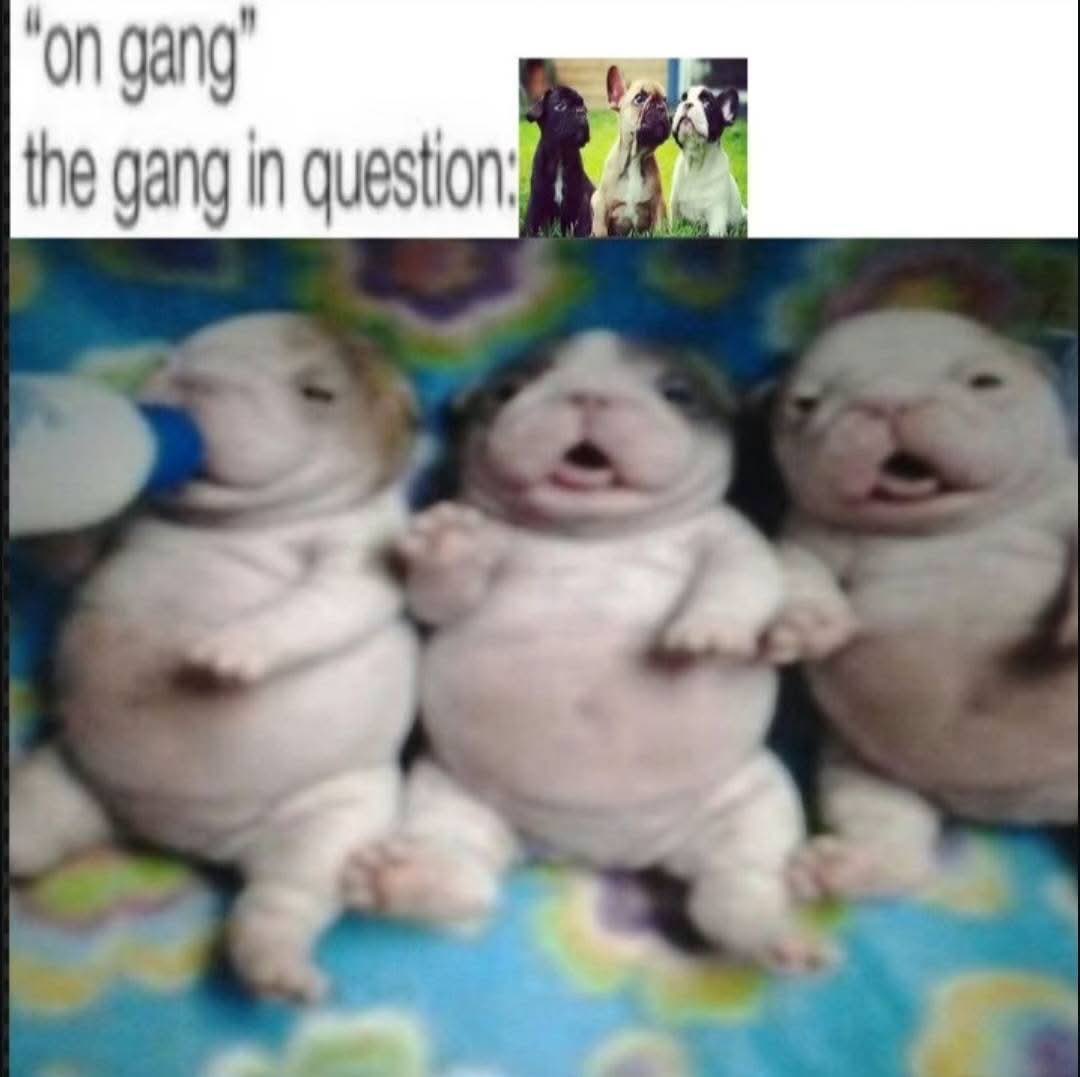 🚪 RITA .ᐟ ٩(^ᗜ^ )و ♡ ₊˚⋆ tweet media