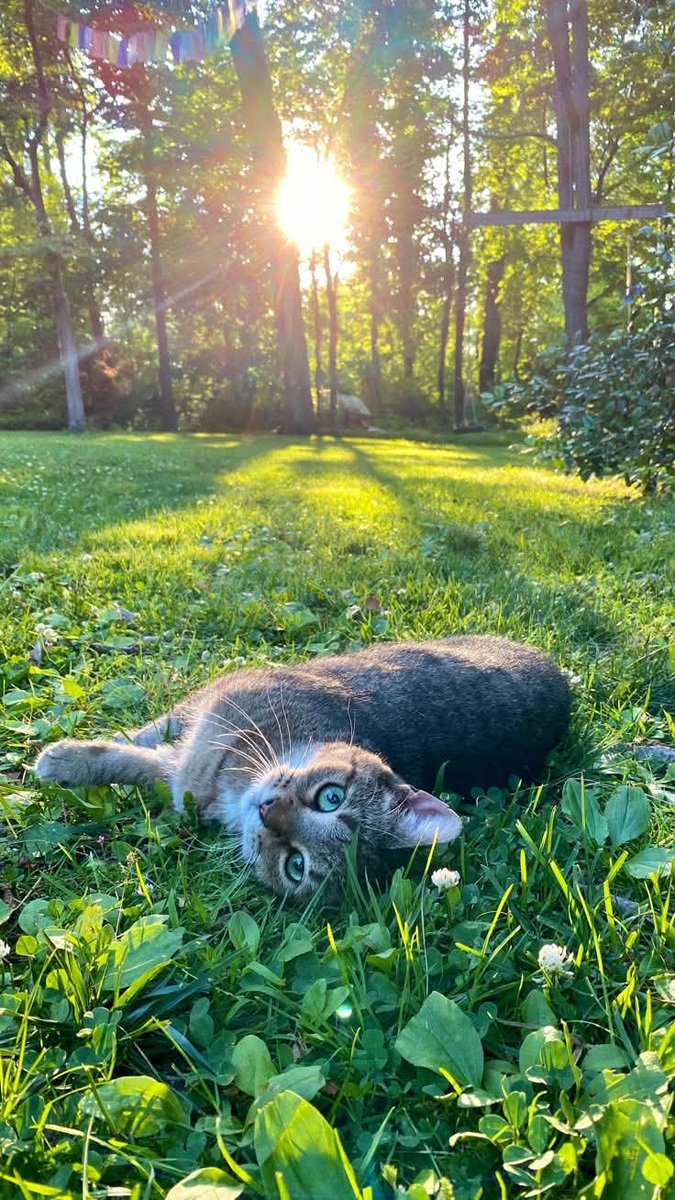 Ruhiii 🇮🇳 tweet media