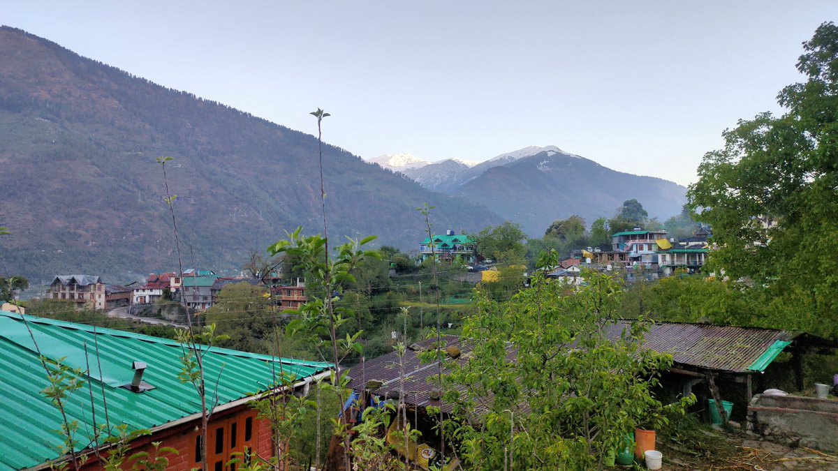 The Ηimalyan's Way tweet media