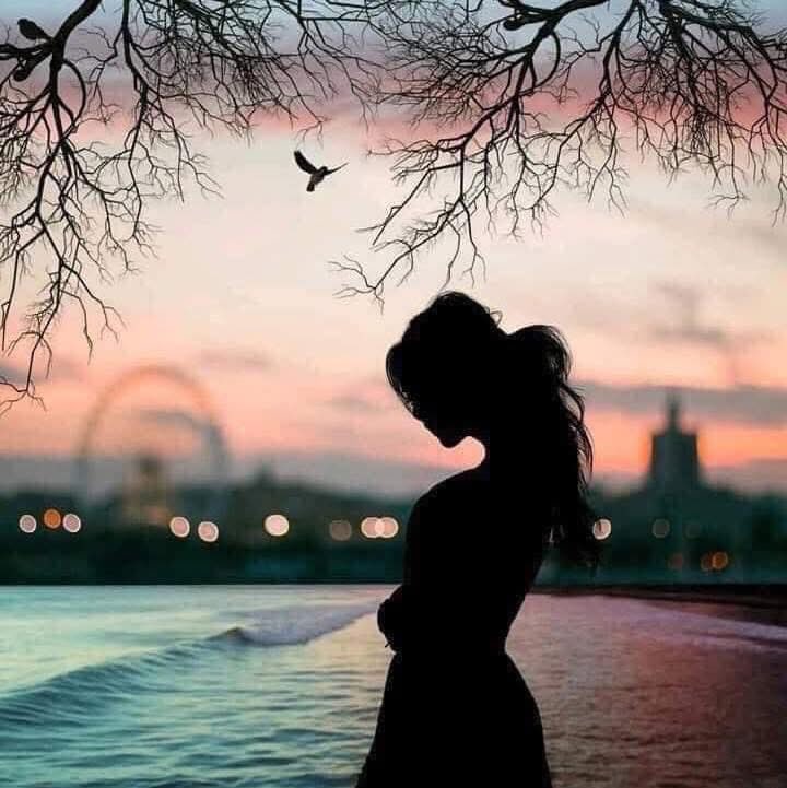 “Las únicas cosas que realmente te pertenecen son tus sueños y tu libre albedrío para vivir la vida de la manera que quieras. Solo tomamos prestado todo lo demás”
#FelizNoche✨💫