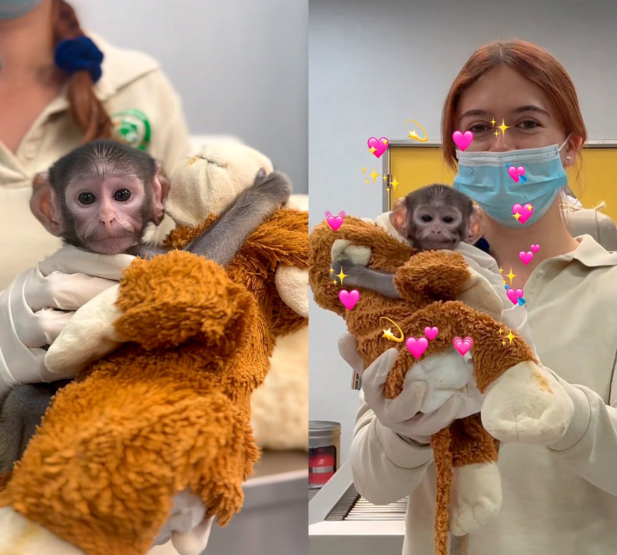 En Júpiter tweet media