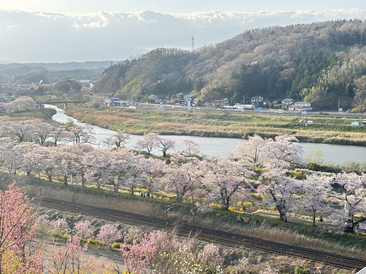 コーキ tweet media