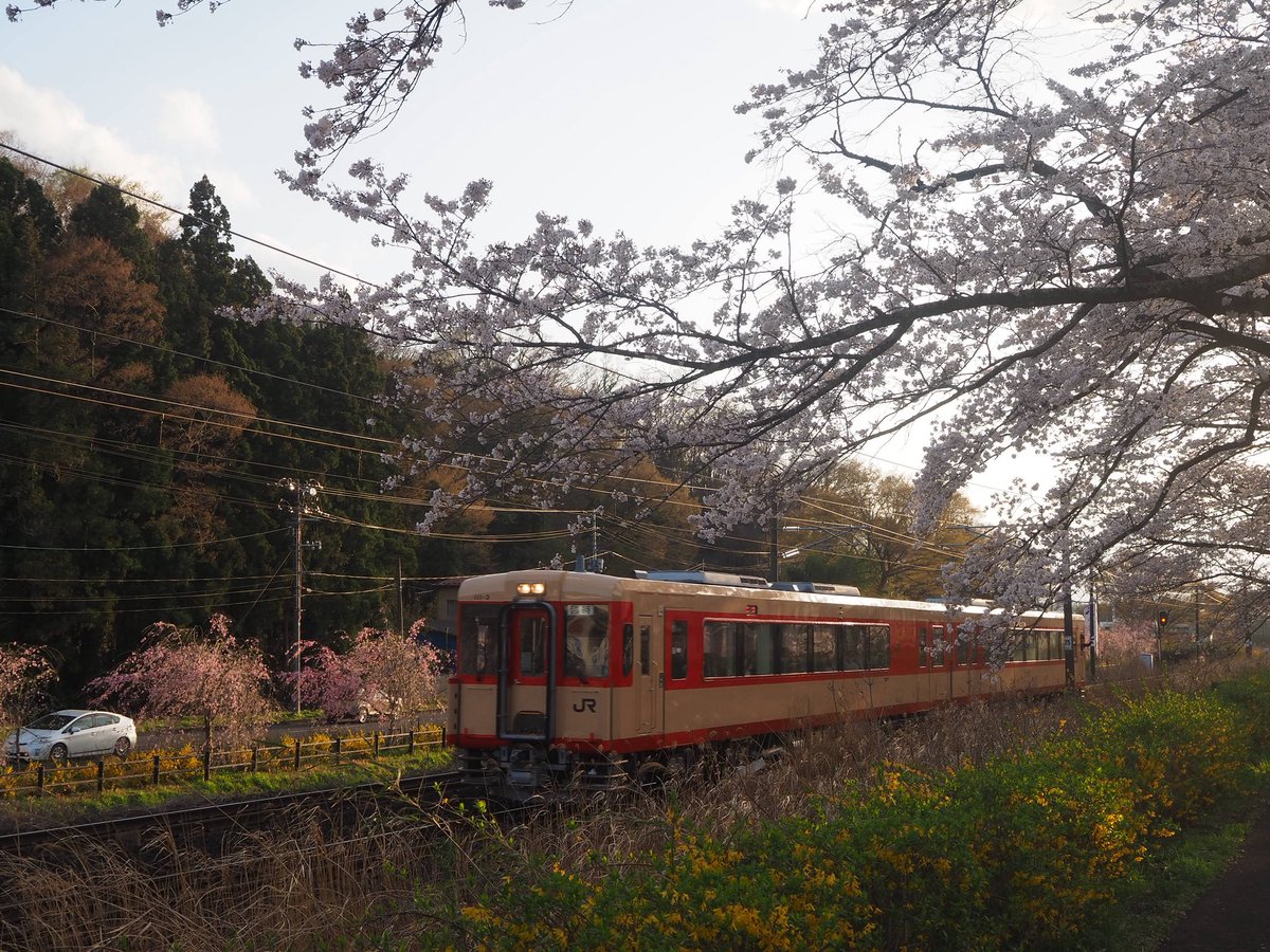 コーキ tweet media