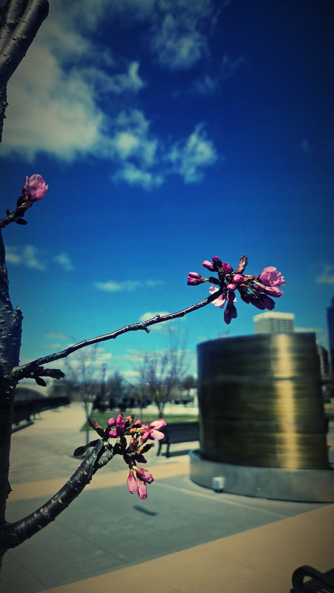 Diamond 💎 tweet media