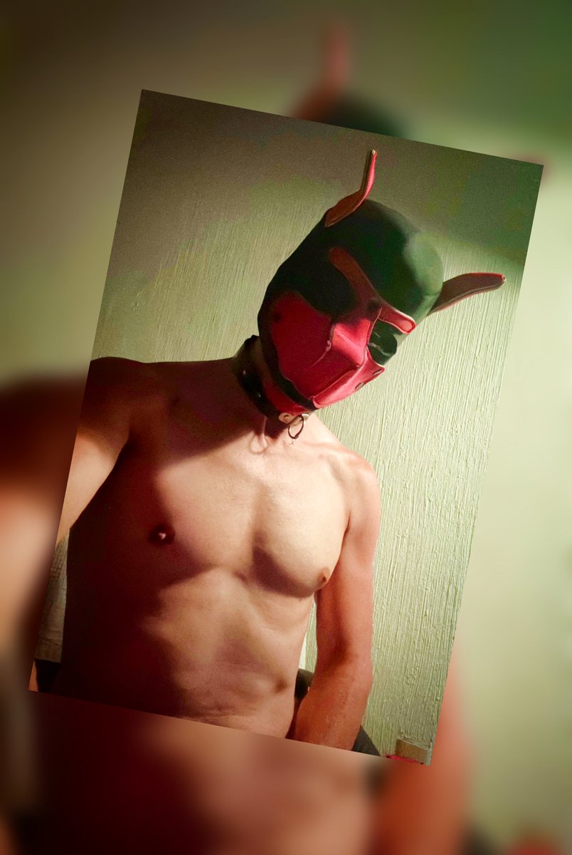 AlexG808080's tweet photo. #sabadaba #soliman #fun #gay #puppy https://t.co/30KAeyW37t