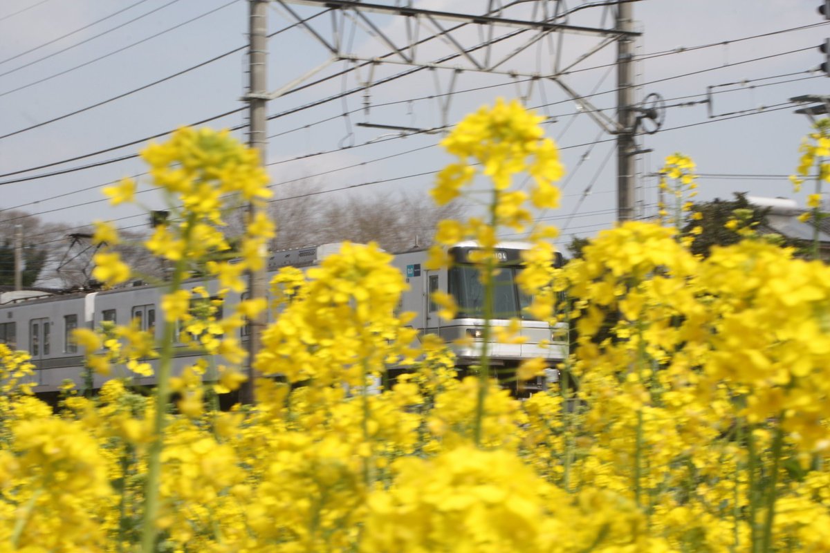 青快 tweet media