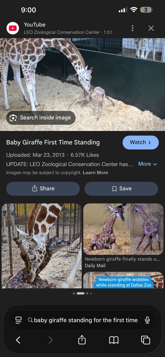 Roman Empire tweet media