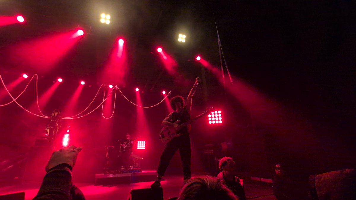 ashe 🐾🦴 tweet media