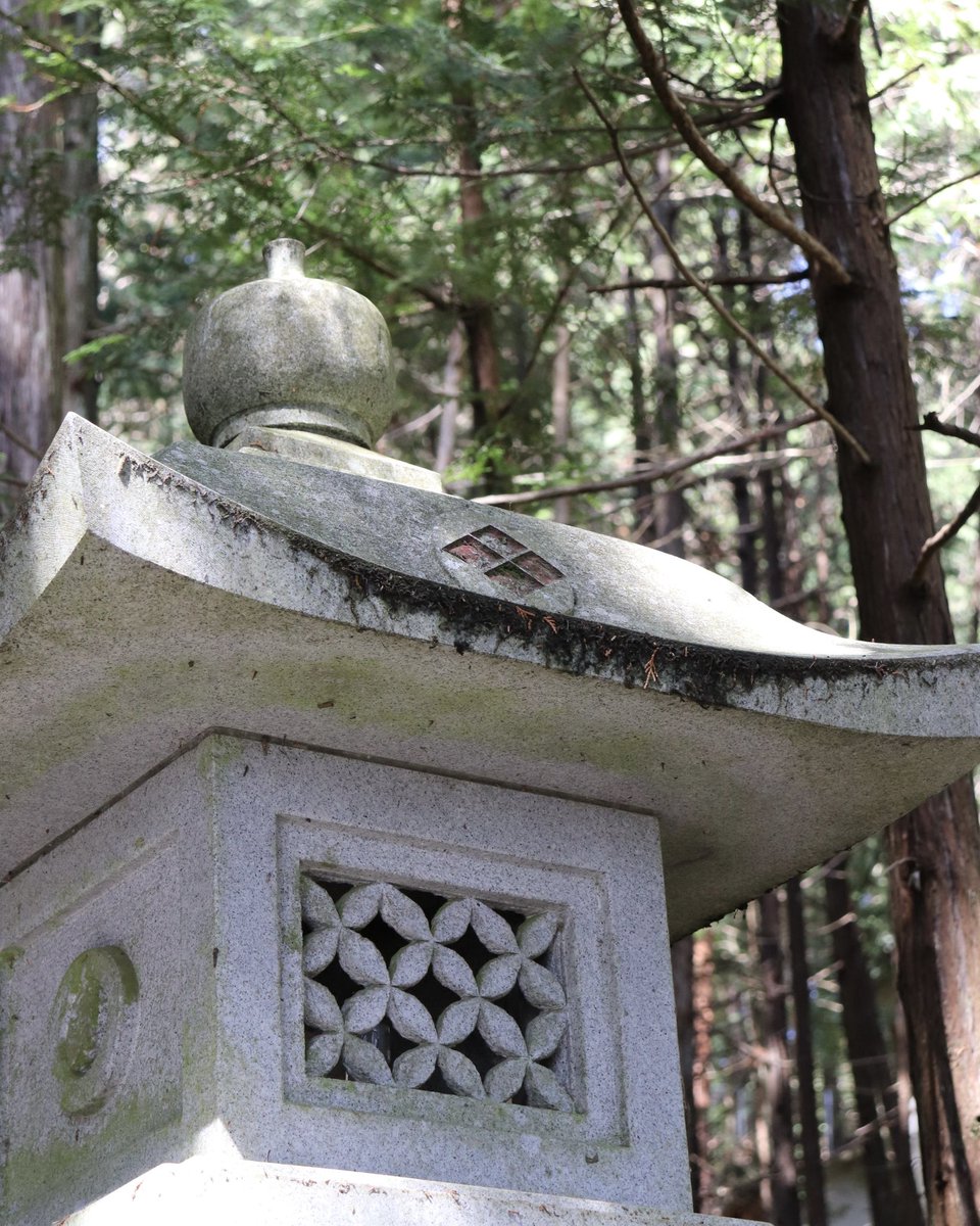 4月12日は、武田信玄公のご命日です。

武田八幡宮は甲斐武田家の氏神として信仰され、本殿は信玄公と父・信虎公により再建されました。

その歴史からも、武田家にとって、大切に守られてきた神社であることがうかがえます。

#武田八幡宮　#武田信玄　#甲斐武田