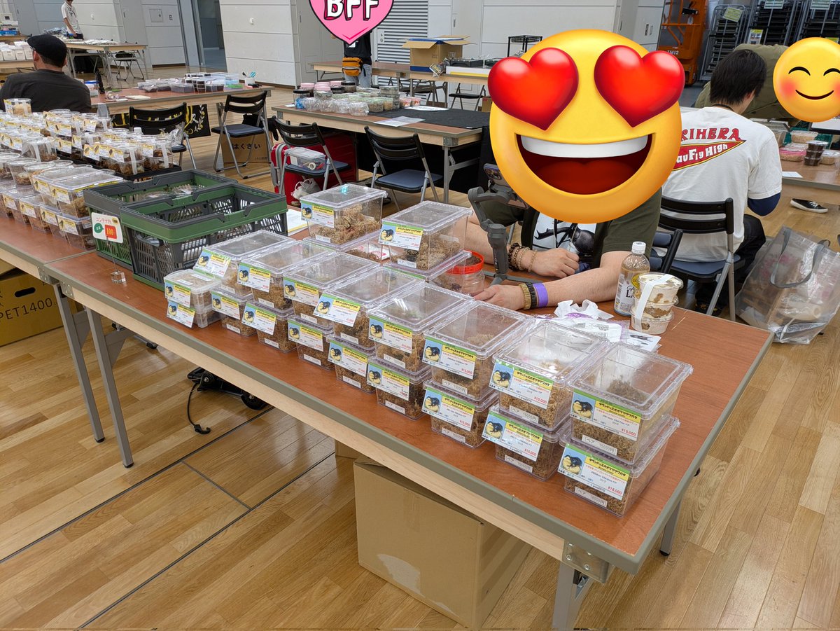 もとお tweet media