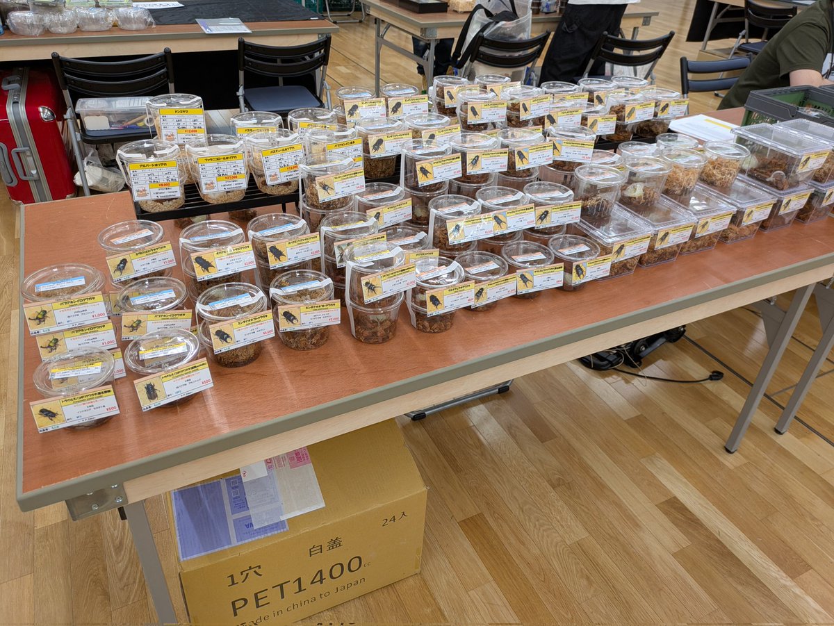 もとお tweet media