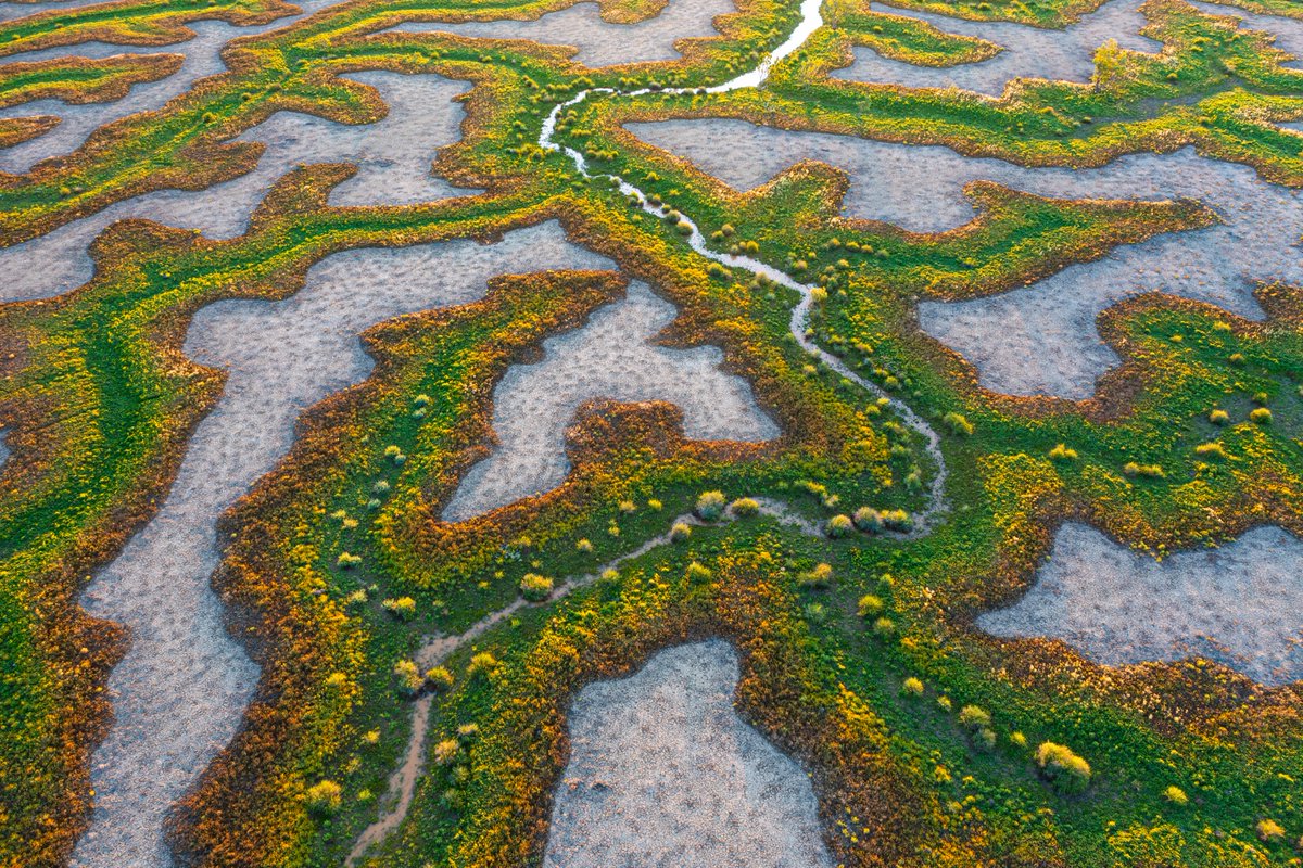 Intrepid tweet media