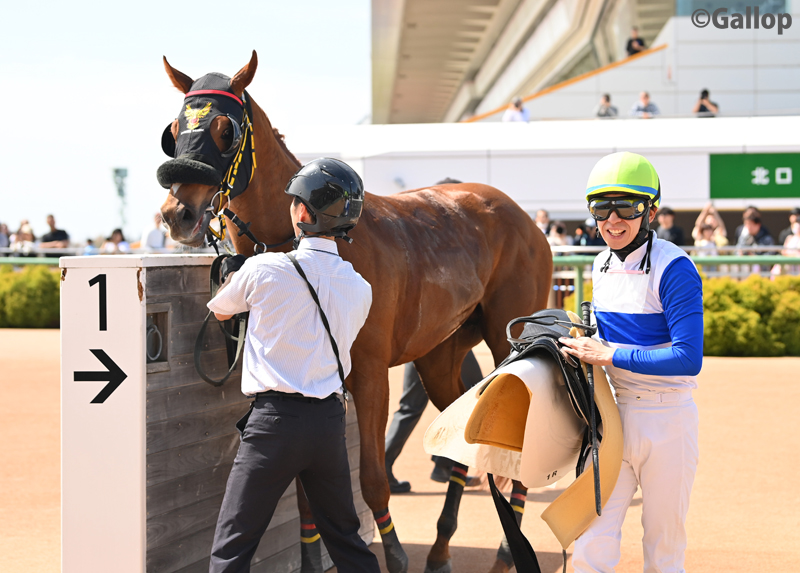 週刊Gallop（Weekly Gallop） tweet media